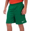 Detská košeľa - Šortky Nike 158 biele, zelené (Nike Shorts XL 158 - 170 Fussball XL 12 - 16 rokov)