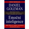 Emoční inteligence 2.vyd. METAFORA - Daniel Goleman