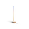Philips Hue White and colour ambience 8719514433465 inteligentné osvetlenie Inteligentná stolová lampa Bluetooth/Zigbee 11,8 W (929003479601)