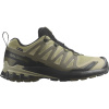 Pánska bežecká trailová obuv SALOMON-XA Pro 3D V9 GTX M dried herb/black/olive night Zelená 44 2/3