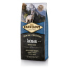 CARNILOVE Salmon for Dog Adult 12 kg