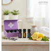 DoTerra Sada Starter Trio esenciálny olej 3x5ml-ihneď