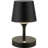 RETLUX RGL 117