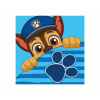 Carbotex · Detský / chlapčenský magický uterák Labková patrola - Paw Patrol - 30 x 30 cm