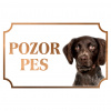 Nemecký prepeličiar - Kovová tabuľka POZOR PES