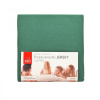 Nábytek PEGAS s.r.o. Prostěradlo JERSEY zelené - 200 x 220
