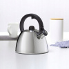 Čajník, kanvica na čaj - 37143 Ambition Kanvica Steel s píšťalkou Vikos 2,5 (Čajník, kanvica na čaj - 37143 Ambition Kanvica Steel s píšťalkou Vikos 2,5)