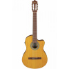 IBANEZ GA3ECE-OAM