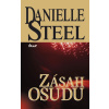 Zásah osudu - 2. vydání - Danielle Steel