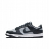 Nike Dunk Low Retro Georgetown (Nike Dunk Low Retro Georgetown)