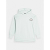 4F Jr sweatshirt 4FJAW23TSWSF642-41S (178697) Black/Green 128