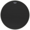 Remo 22