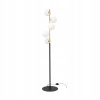 Zuma Line Lailter Ali 5649 (Zuma Line Lailter Ali 5649)