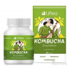 Liftea KOMBUCHA EnzymAktiv 60 kapsúl