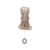 Hudebný králiček Baby Bunny