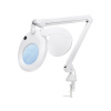 Shesto Stolná LED lampa Lightcraft Slim Line s lupou