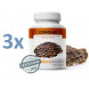 MycoMedica Coriolus versicolor Outkovka 3 x 90 kapsúl