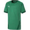 Puma teamGOAL 23 Jersey Jr T-shirt 704160 05 (181355) Black/Green 152cm