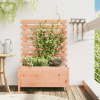 Záhradný kvetináč s regálom 79x39,5x114 cm masívny douglas-ForU-832524