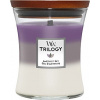 WoodWick Vonná svíčka střední Trilogy Amethyst Sky 275 g