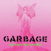 Garbage - No Gods No Masters / Vinyl [LP]
