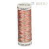 Nit Gütermann Sulky Rayon 2241