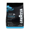 Rozpustná káva Lavazza Decaffeinato Expert 300 g