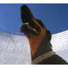 CD Overmono: Good Lies DIGI