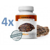 MycoMedica Coriolus versicolor Outkovka 4 x 90 kapsúl