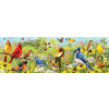 EUROGRAPHICS Panoramatické puzzle Záhradné vtáky 1000 dielikov