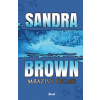 Mrazivý chlad - 2. vydání - Sandra Brown