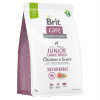 Brit Care (VAFO Praha s.r.o.) Brit Care Dog Sustainable Junior Large Breed 3kg