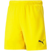 Detské krátke nohavice TeamRise Jr 704943 07 - Puma 152CM