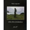 Omyl pána Hayerdhála - Milan Augustín