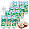 Neperlivá kokosová voda Coconaut 0,32 l