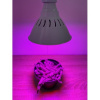 BASIC LED GROW žiarovka na všetky rastliny (E27) 12W - s ovládačom na stmievanie a načasovanie