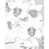 ZUTY Bodkovanie - NÁDHERNÉ ORCHIDEJE Rámovanie: bez rámu a bez vypnutia plátna, Rozmer: 80x100 cm