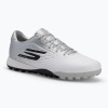 Pánske kopačky SKECHERS Razor 1.5 Academy TF white/silver