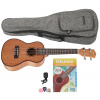 CASCHA HH 2036 Concert Mahogany Ukulele Bundle