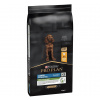 Purina Pro Plan Large Puppy Athletic Healthy Start kura 12 kg