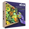 OKTO Energy Výtvarná modelovacia sada sukulenty v drevenom ráme 21x21 cm