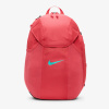 Nike Academy team MISC