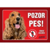 Juko Plastová tabuľa Pozor Pes Kokršpaniel 21 x 14,7 cm