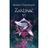 Zaklínač VI: Věž vlaštovky - Sapkowski Andrzej