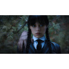 CUKROVÁ TLAČ jedlý obrázok na tortu Cukrová hmota Wednesday Addams Family + MENO