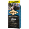 CARNILOVE Salmon for Adult Dogs 12+2 kg