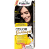 PALETTE COLOR SHAMPOO farba na vlasy 113 Čierna