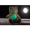 Teddies Snílek medveď dúhový plyš 40cm na batérie so svetlom so zvukom v sáčku
