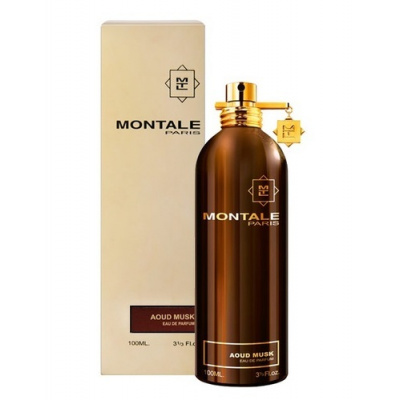 Montale Paris Aoud Musk, Parfumovaná voda 100ml - Tester pre mužov