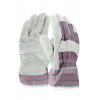 Ardon GINO A1013/10/SPE